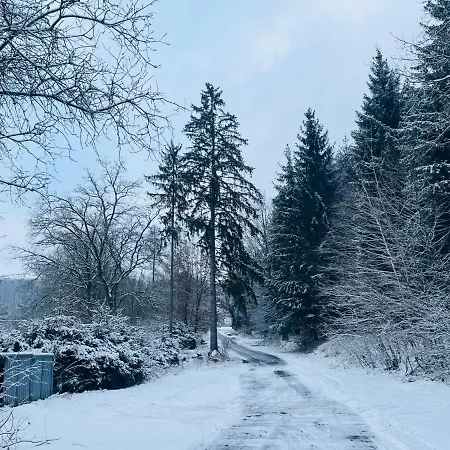 Дом отдыха Tiny 4 Am Rimbach In *