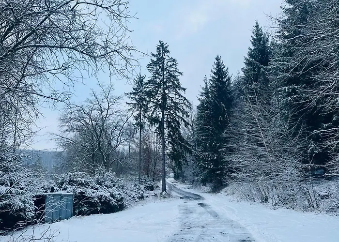 Ferienhaus Tiny 4 Am Rimbach In *