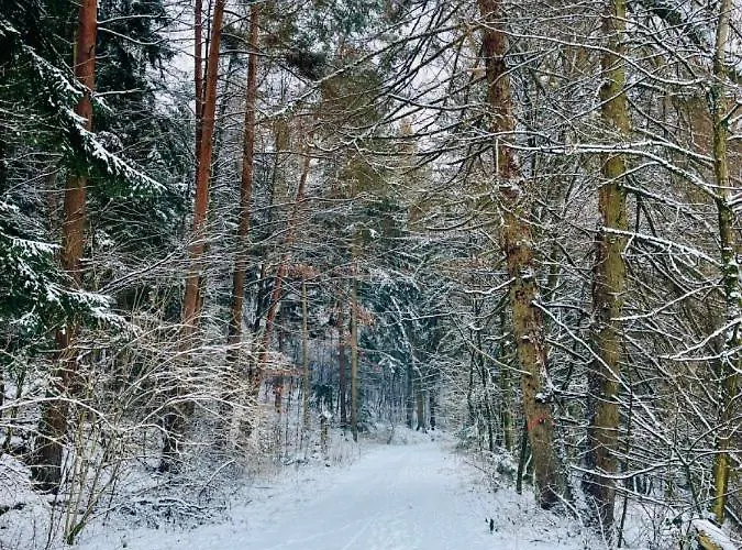 Tiny 4 Am Rimbach In Ferienhaus *
